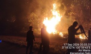 IMG-20260918-WA0241