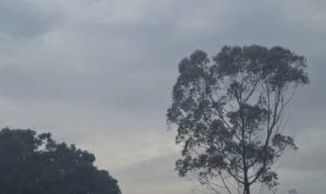 Kawasan Asrama 125 Simbisa Disorot, Konfirmasi Wartawan Berujung Blokir Nomor